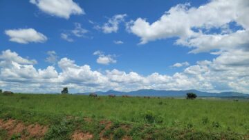 Best Time to Visit Tanzania for a Safari