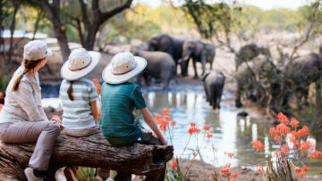 Family Safari Planning: What to Know